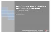 Apuntes de Clases Administracion Judicial 2013