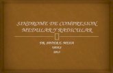 13- Sindrome de Compresion Medular Radicular
