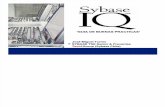 Sybase IQ - Buenas Prácticas