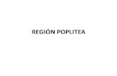 REGIÓN POPLITEA Y PIERNA pdf