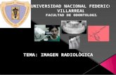 Imagen Radiologica II