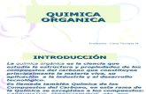 Diapositivas quimica organica 2009-1[1]