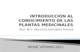 INTRODUCCIÓN A LAS PLANTAS MEDICINALES MUNE 2013