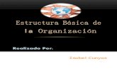 Estructura Basica de La Organizacion