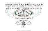 Derecho Politico 2012 - 28 Bolillas(1)