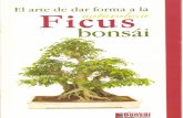 Bonsai.EL FICUS BONSAI.pdf