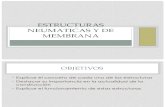 Estructuras Neumaticas y de Membrana