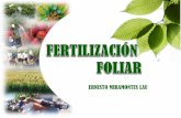 Fertilización Foliar