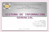 Presentación telnet sistema de informacion