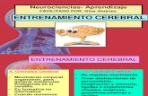 Clases  Entrenamiento Cerebral- gimnasia-.ppt
