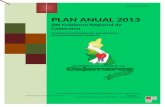 Plan Anual 2013 Gorecaj
