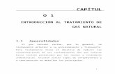Cap 1 Introducción al tratamiento de Gas Natural (2).doc