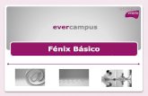 Manual Fenix Basico Junio 2011