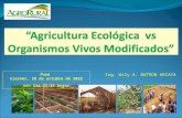 AGRICULTURA ECOLOGICA VS OVM (TRANSGÉNICOS) 2