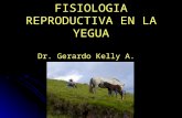 Fisiologia Reproductiva de La Yegua