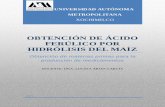 obtencion de acido ferulico por hidrolisis de maiz.pdf