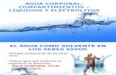 9-10-11. Liquidos Corporales, Compartiminetos y Electrolitos
