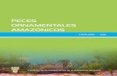 Catalogo de Peces Ornamental Amazonicos