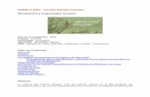 Etnohistoria Y Arqueologia Tarasca..pdf