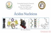 Ácidos nucleicos - Estructura y Función - Ultimate Version - Carlos Pedroza.pdf