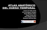 Atlas Anatmico Del Hueso Temporal
