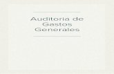 AUDITORIA DE GASTOS GENERALES.docx