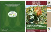 El Cultivo Del Cartamo Carthamus Tinctorius l. en Mexico