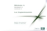 Lectura 1 - La Organización.pdf