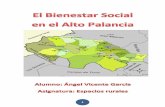 El Bienestar Social en El Alto Palancia