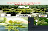 Proteccion Fitosanitaria Al Cultivo de Aguacate - Ica