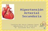 Hipertensión Arterial Secundaria
