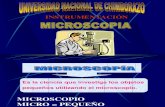 Clase de Microscopia