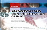 Anatomia Con Orientacion Clinica Moore