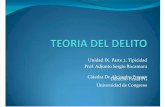 TEORIA DEL DELITO Cap. IX  parte 2 Tipicidad.pdf