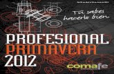 91629450 Catalogo Profesional Primavera 2012 Comafe