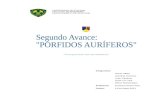 SEGUNDO AVANCE PÓRFIDOS AURÍFEROS (ENCHULADO)