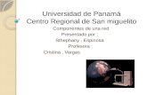 Universidad de panamá fanny
