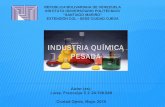 Industria química pesada en Venezuela