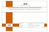 Informe de Práctica Profesional - FFA 2012