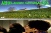 Anhelando Naturaleza by Miguel Apaza Tapia