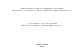 Monografía de la Vereda Pajonal del Municipio de Piedecuesta