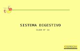 Clase 14; sistema digestivo