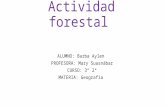 Actividad forestal de la Argentina