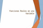 Funciones reales en una variable