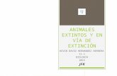 Animales extintos y en vía de extinción en colombia