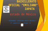 Bachillerato oficial presentacion (mexico) 11