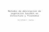 Fuentes 2011 fisonomia estructura