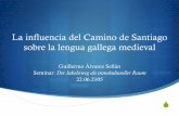 A influencia do Camiño de Santiago sobre a lingua galega medieval