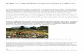 Jardineria y enfermedades de plantas hongos en  primavera