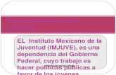 DIRECTORIO DE INSTITUCIONES (Instituto mexicano de la juventud)